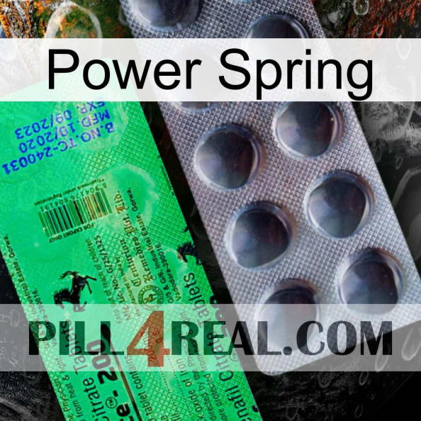 Power Spring new04.jpg